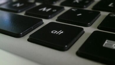 keyboard, laptop, alt key, alt, key, computer, technology, button, pc, electronic, information, input, black, notebook, hardware, alt key, alt key, alt key, alt, alt, alt, alt, alt