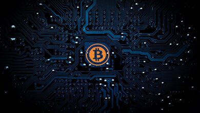 bitcoin, btc, cryptocurrency, cryptography, cryptomoney, digital money, circuit, board, peer to peer, currency, money, payment, financial, banking, cash, bit, internet, pay, coin, finance, electronic, virtual, satoshi, black money, black finance, black internet, black digital, black bank, black board, bitcoin, bitcoin, bitcoin, bitcoin, bitcoin, cryptocurrency, cryptocurrency