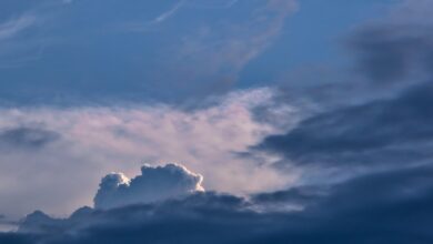 cloud of bunch of, swelling cloud, cloud shape, thunderstorm, storm, cloud mountain, cloud, heaven, cumulus, the atmosphere, nature, climate, cloud, cloud, cloud, cloud, cloud, heaven, heaven, climate, climate, climate